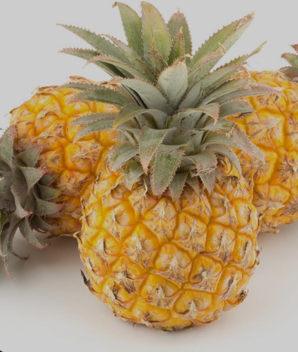 Pineapple Baby Fresh